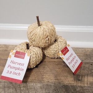 Cream Raffia Straw Woven Pumpkins - Set of 3